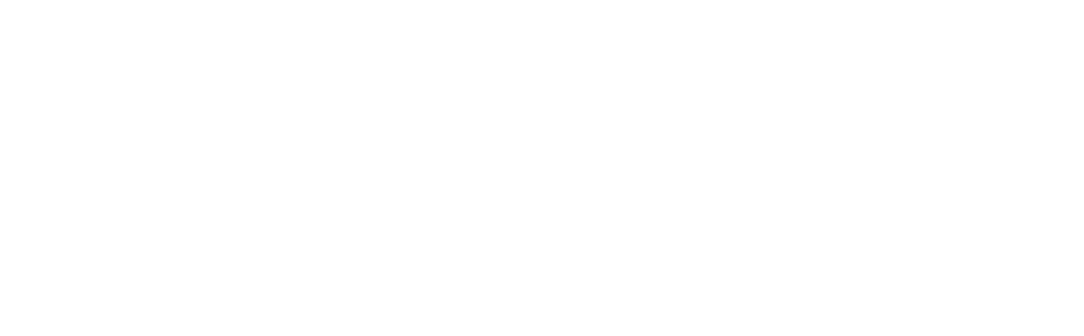 心电网络演进历史